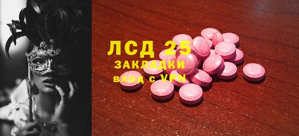 прущие грибы Богородск