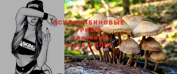 spice Бронницы