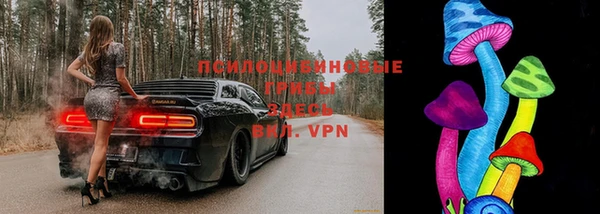 СК Бугульма