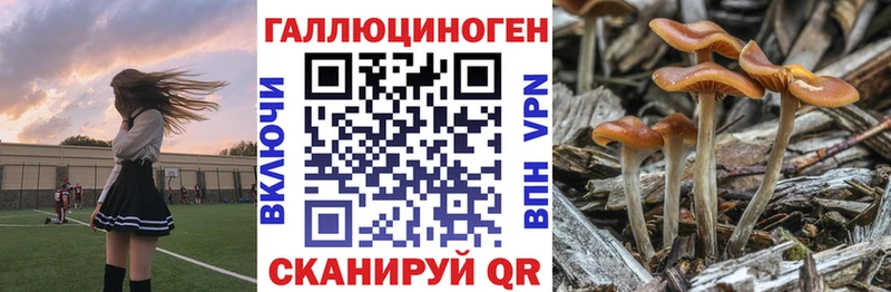 Галлюциногенные грибы мицелий площадка Telegram Верещагино